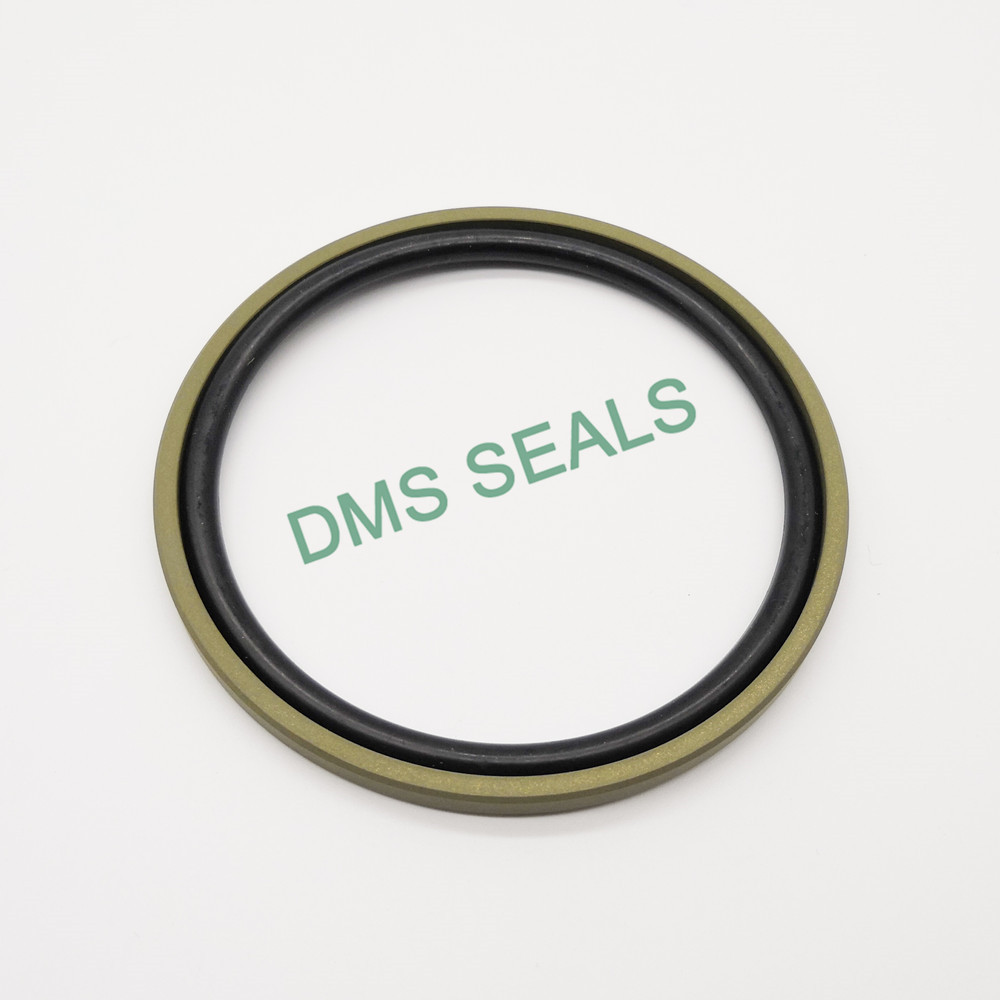Hydraulic Seals Manufacturer, Custom O Ring Supplier | DMS Seals