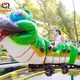 Modern Amusement Park Equipment for Sale Amusement Park Equipment for Sale Company 3