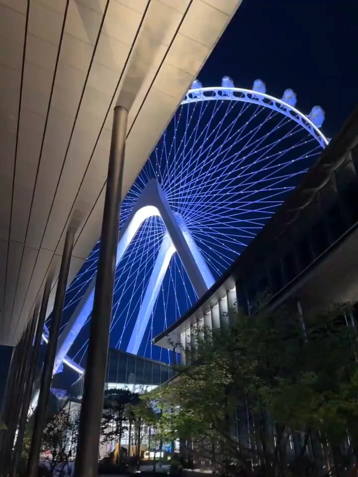 Ferris Wheel with Spherical Cabins for Breathtaking Panoramic Views | LMQ | Limeiqi 1