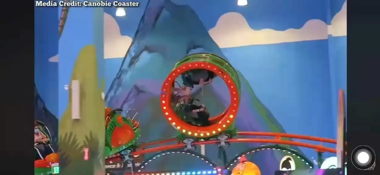 LIMEIQI Hamster Coaster: A Family-Friendly Thrill Ride Blending Whimsy and Performance 1