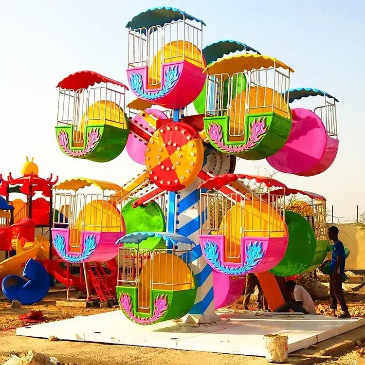 Mini noria de observación