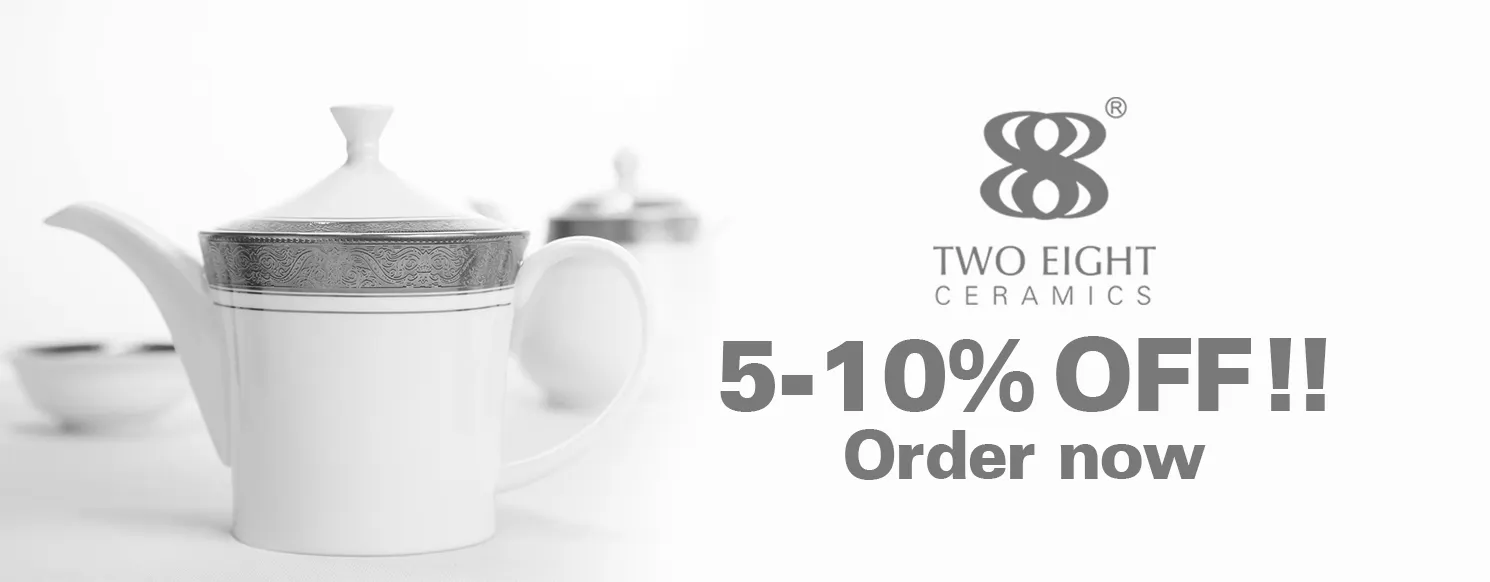 Contemporary Style White Round Fine china Dinnerware with Silver Grey Decal - TD01 8