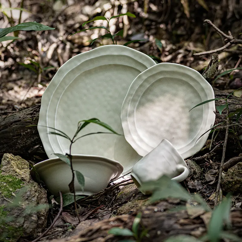 Oem & Odm Porcelain Dinnerware at Sale 2