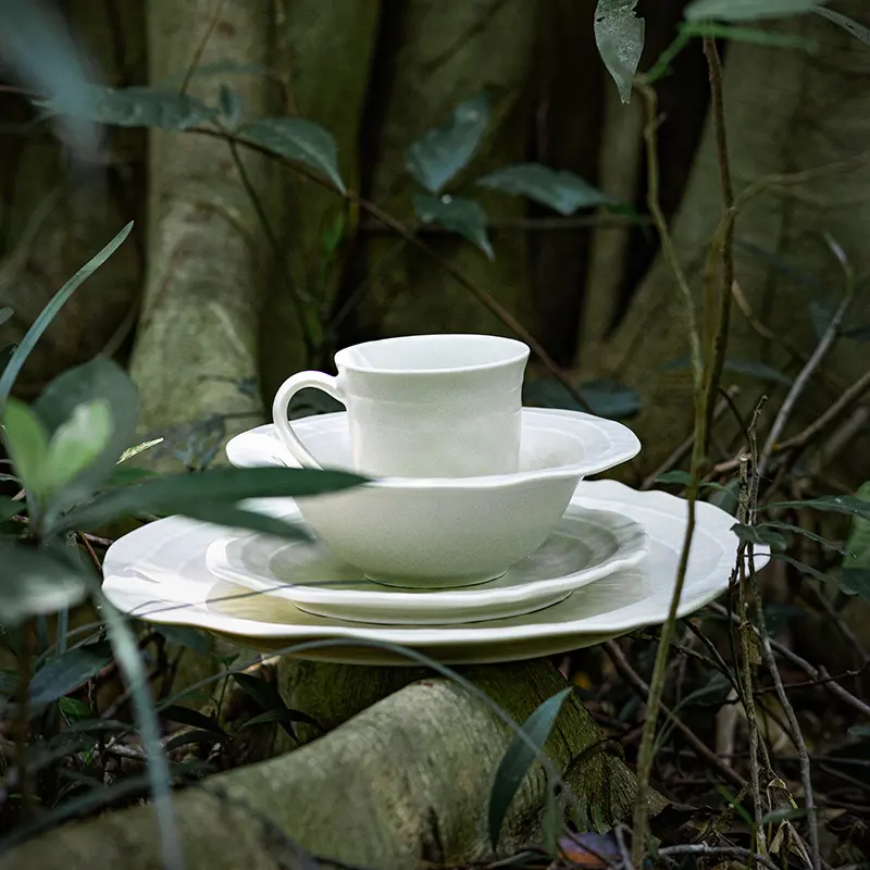Oem & Odm Porcelain Dinnerware at Sale 3