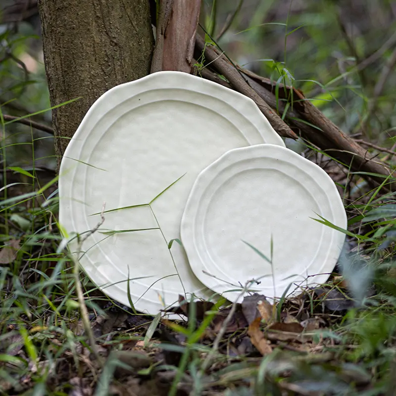 Oem & Odm Porcelain Dinnerware at Sale 4