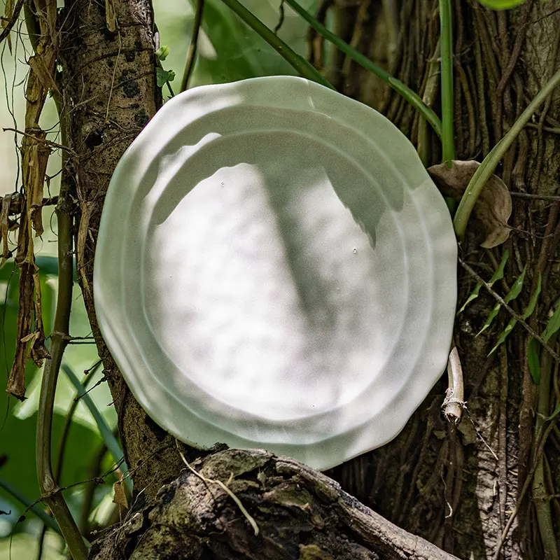 Oem & Odm Porcelain Dinnerware at Sale 5