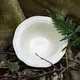 Oem & Odm Porcelain Dinnerware at Sale 7