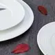 Bulk Restaurant Grade Plates Price List-1 2