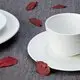 Bulk Restaurant Grade Plates Price List-1 3