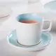 Two Eight Restaurant China Dinnerware T/Tbest Supplier 3