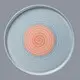 Two Eight classic hotel crockery suppliers customized for home 10