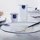 Bepokehotel Collection Porcelain Dinnerware Company Hotel & Restaurant & Resort and Catering Industry EXW/FOB Guangzhou 4