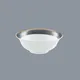 Two Eight royal fine porcelain tea cups supplier for home 5