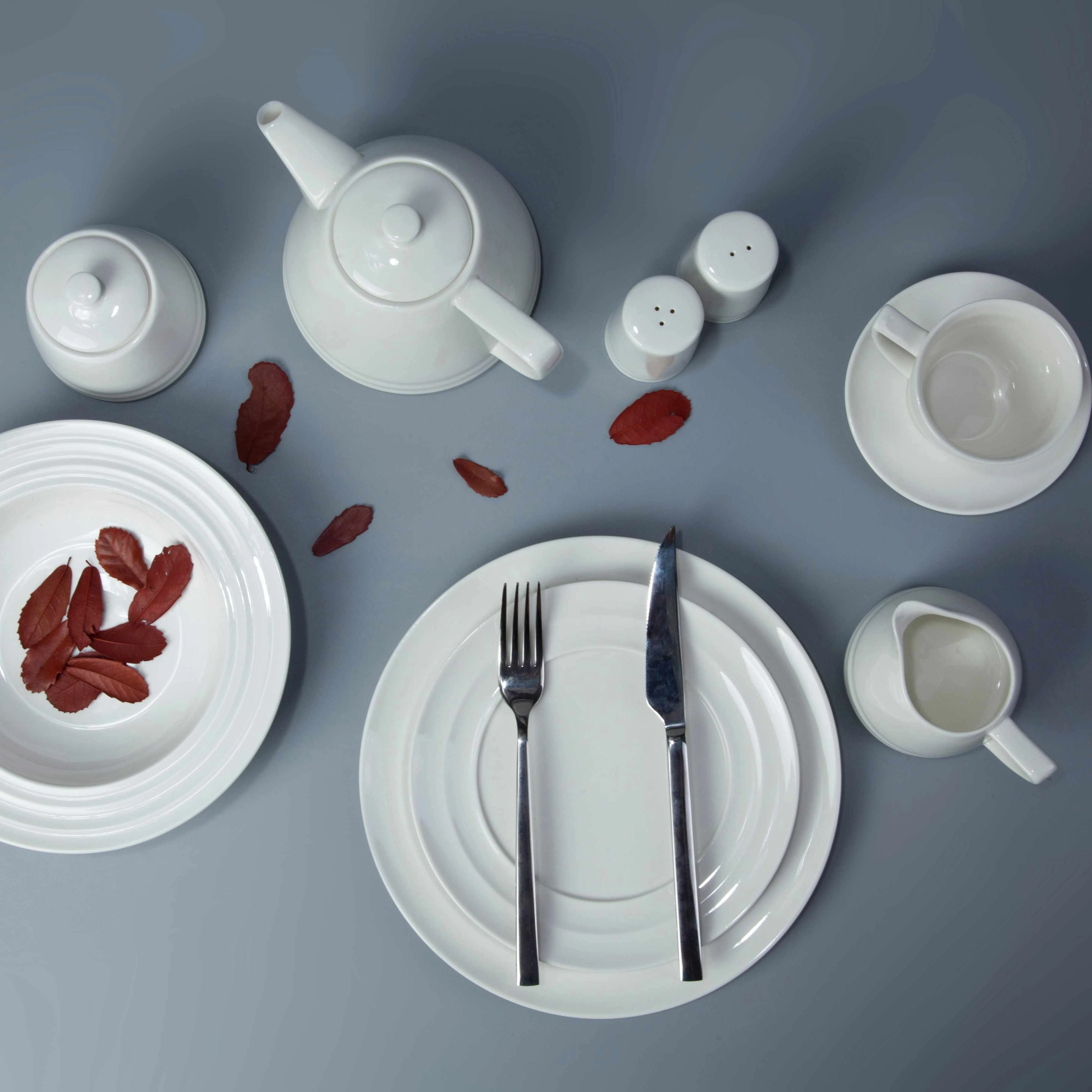 11 piece white ceramic restaurant dinnerware set - TW28 1