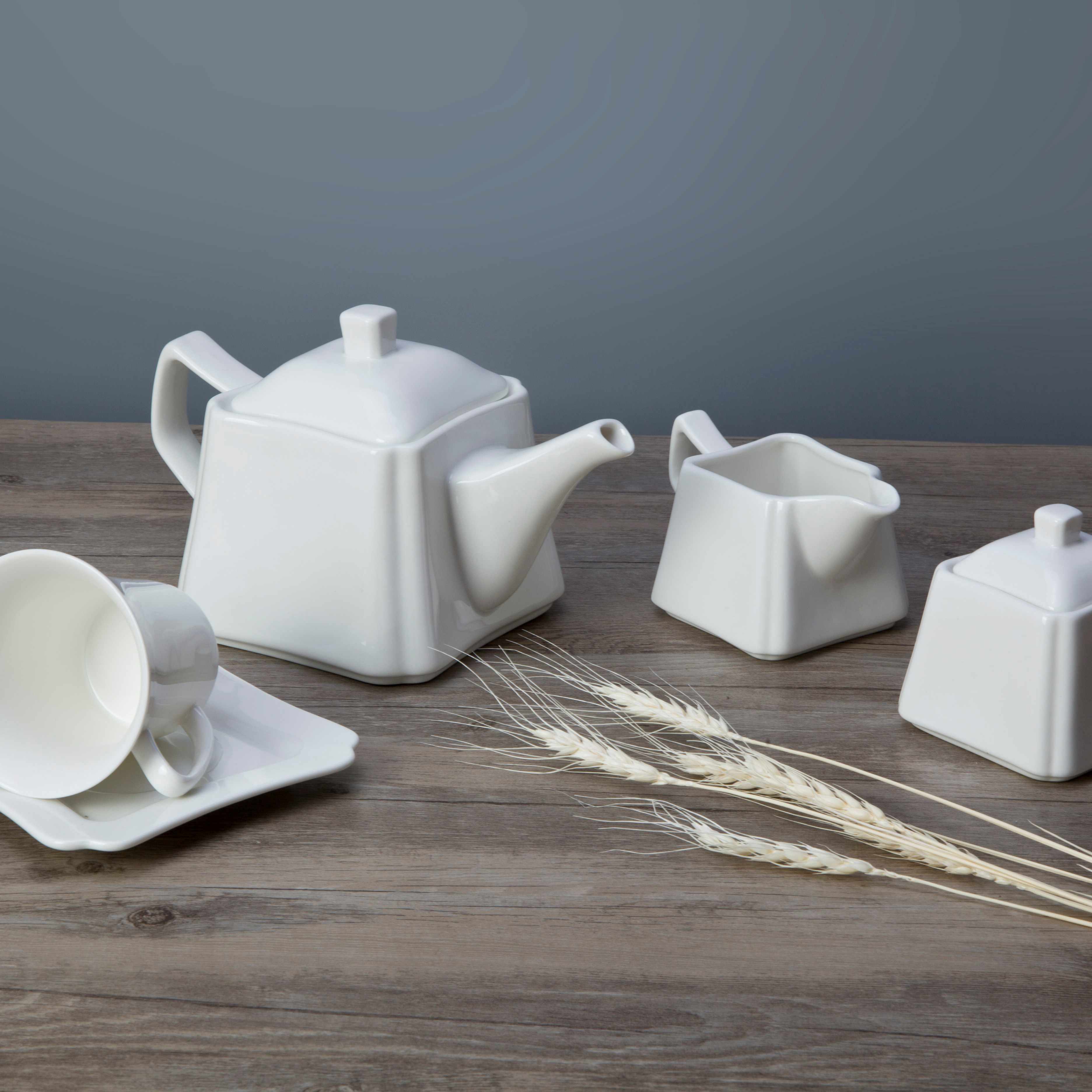 Modern Restaurant White Ceramic Dinnerware Set - TW18 4