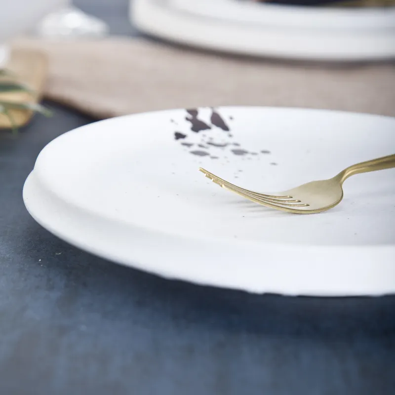 Top porcelain dinner plates Suppliers for restaurant 5