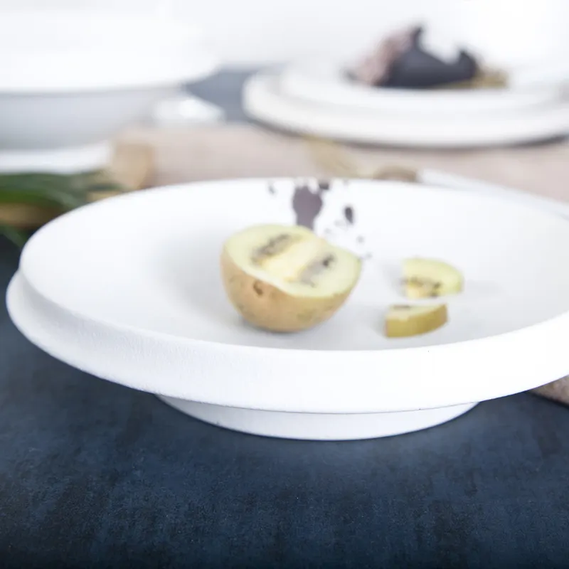 Top porcelain dinner plates Suppliers for restaurant 3