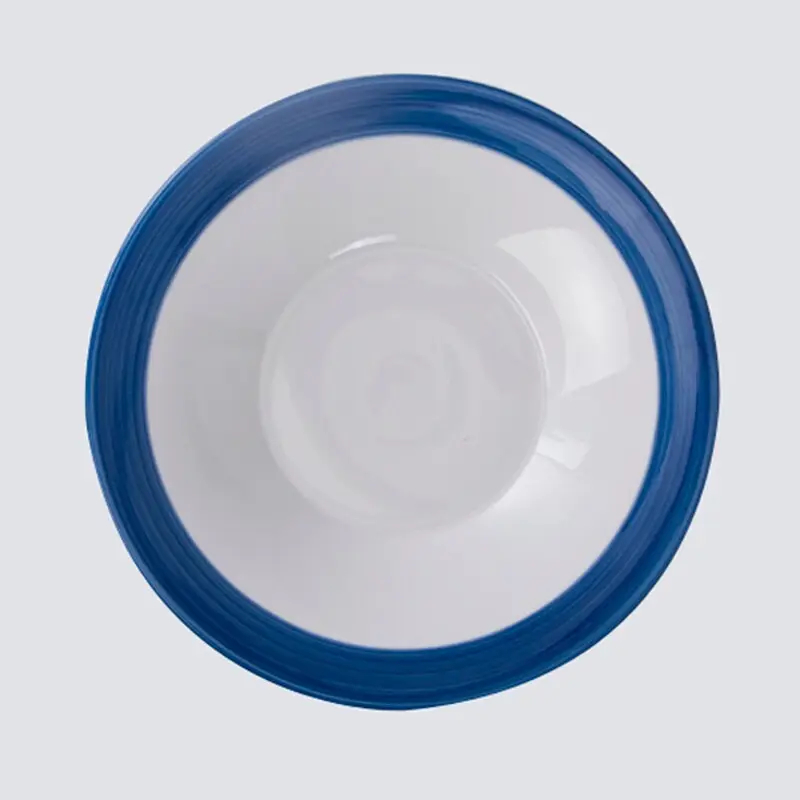 Two Eight ceramic rectangular plate Supply for dinning room 10