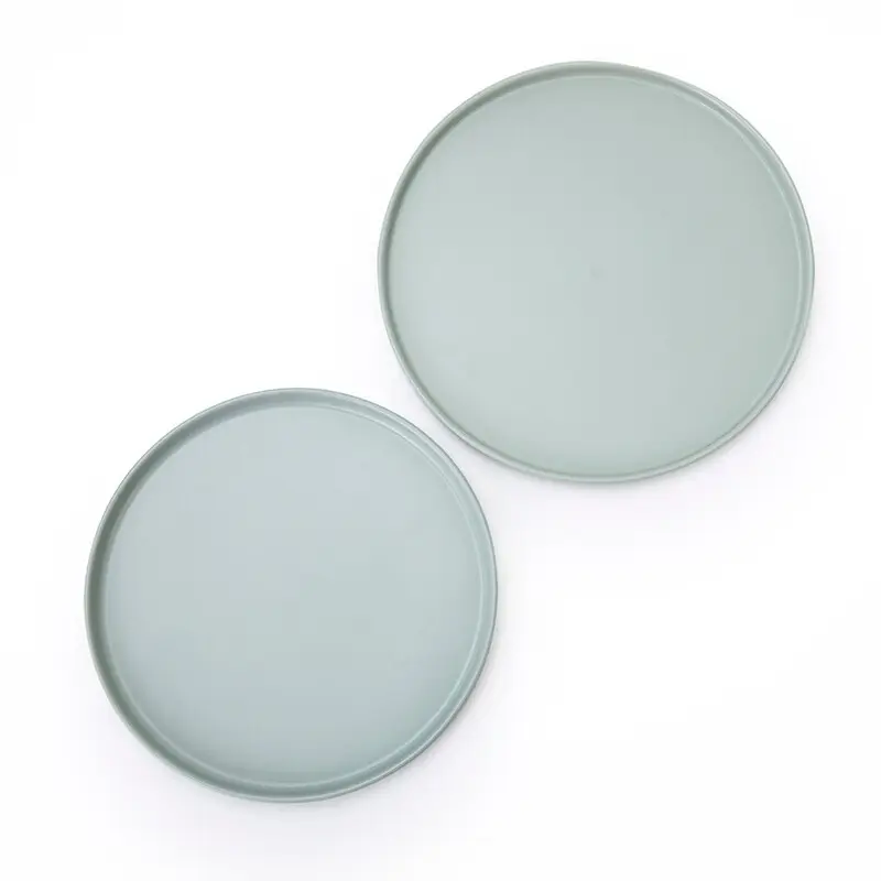 Two Eight bone china plates manufacturers for dinner 5