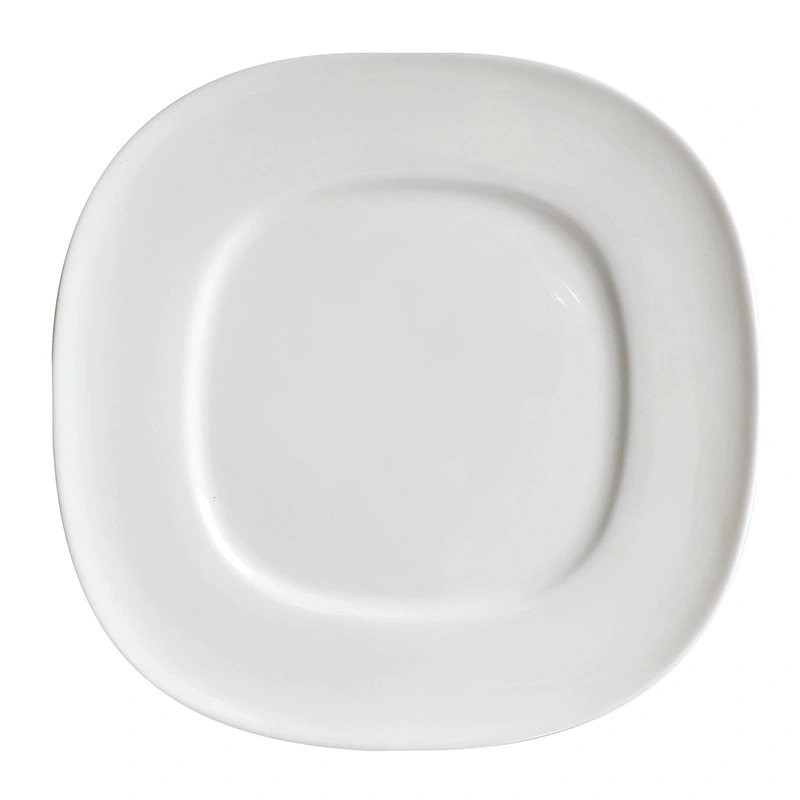 Banquet 9.25 Inch Plain Ceramic Plates Hotel Restaurant White Wholesale Porcelain Dish Set 1