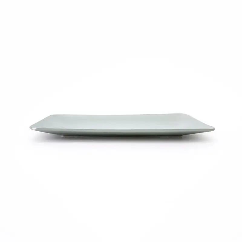 Best catering plates for business for dinning room 3