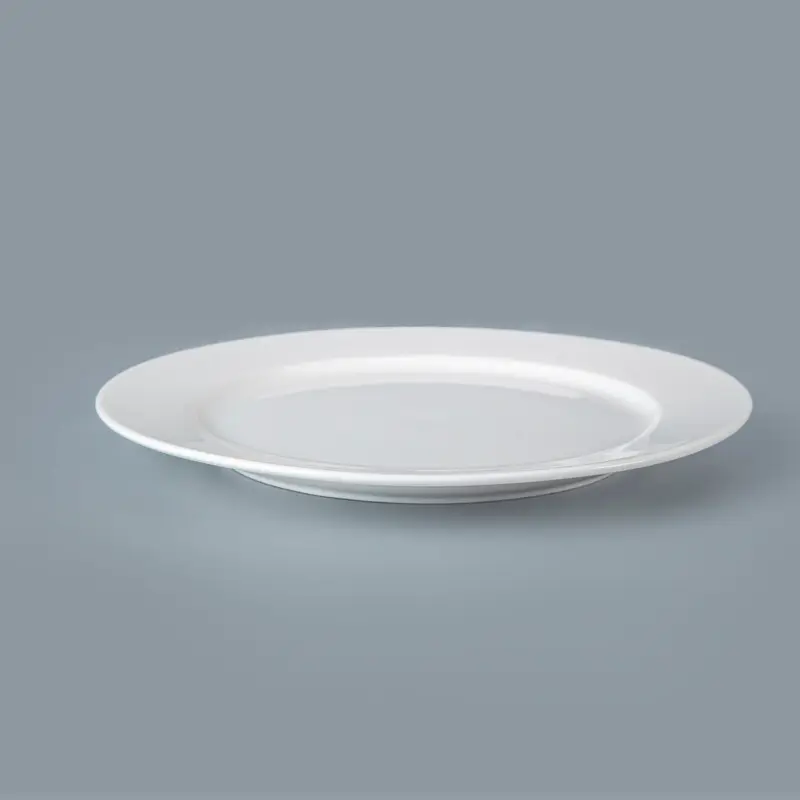 Two Eight dinner plates company for hotel 4
