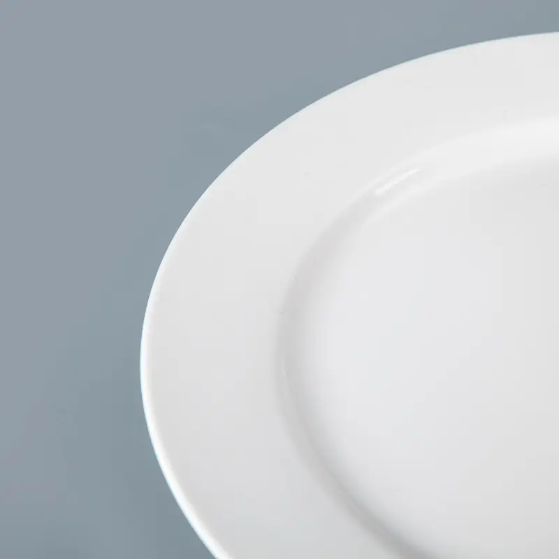 Two Eight dinner plates company for hotel 3