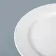 Two Eight dinner plates company for hotel 3