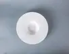 Two Eight Wholesale porcelain dinner plates manufacturers for kitchen 5