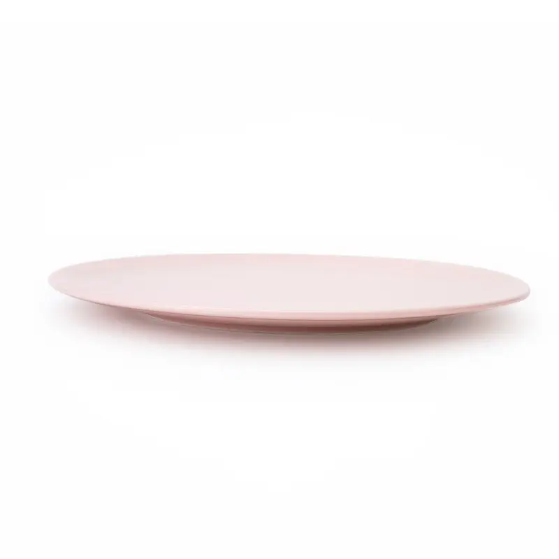 Latest large ceramic plates Supply for dinner 5