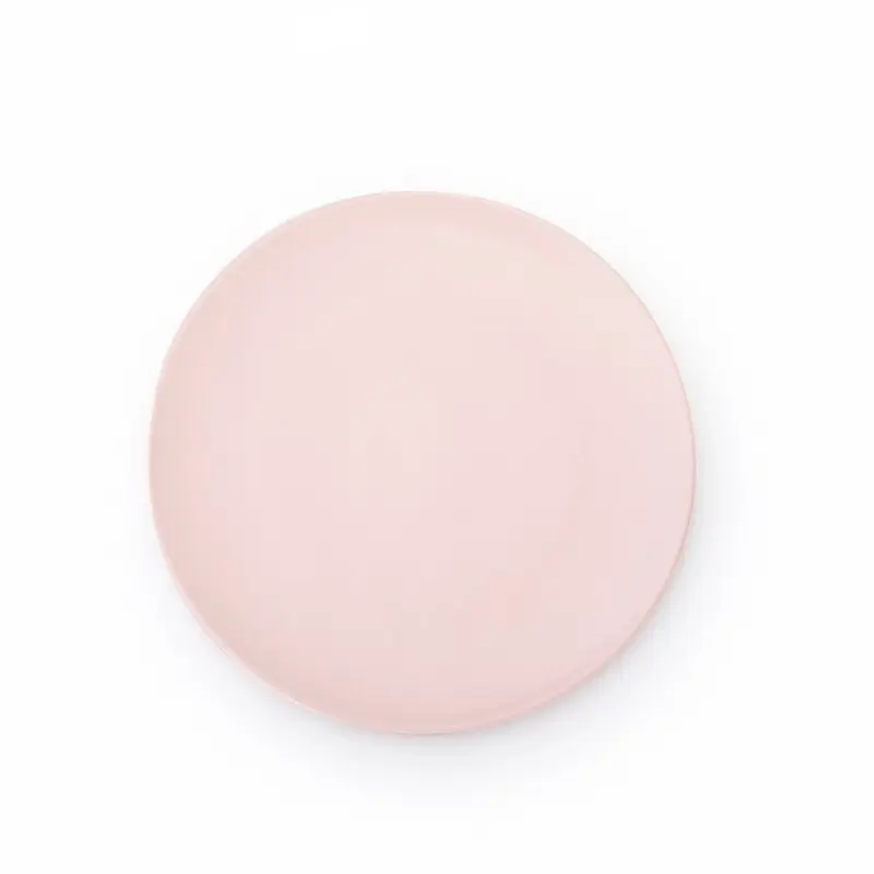 Latest large ceramic plates Supply for dinner 2
