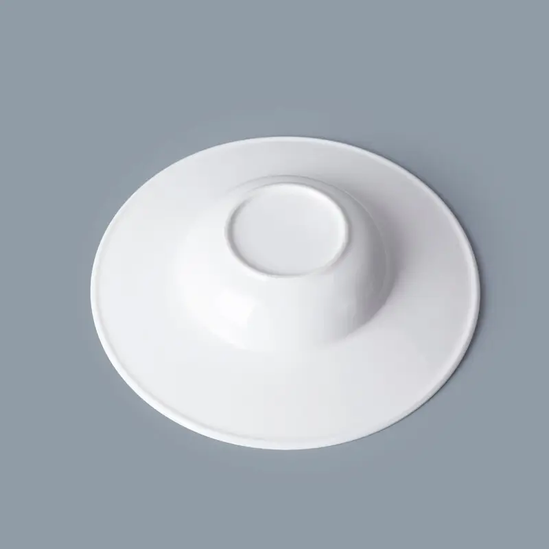 Top dish china Suppliers for home 2