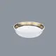 fine white porcelain dinnerware teahouse flower fine china tea sets 9