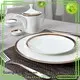 fine white porcelain dinnerware fine flower Two Eight Brand company 1