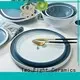 16 piece porcelain dinner set casual colored line Two Eight Brand company 1