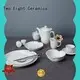 Two Eight piece high quality porcelain dinnerware 1