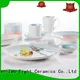 Two Eight durable french porcelain dinnerware sets from China for home 1