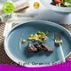 irregular restaurant dinner plates fresh directly sale for dinning room 1
