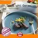 vintage ceramic dinner plates line series for dinner 1