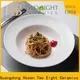 Top fine dinning plates for business for kitchen 1