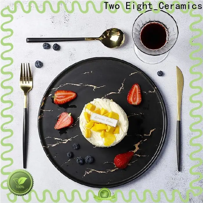 Two Eight High-quality oven safe plates manufacturers for dinner 1