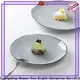 Custom oven safe plates for business for dinning room 1