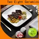 Best dish manufacturers for restaurant 1