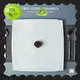 Two Eight Wholesale rustic dishes Supply for restaurant 1