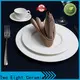 Two Eight square dinner plates Suppliers for dinning room 1