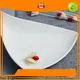 Best trauma plate manufacturers for restaurant 1