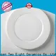 Two Eight divided ceramic plates company for hotel 1
