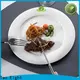 Two Eight white dinner plate with silver line factory for dinning room 1