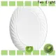 New porcelain plates for business for hotel 1