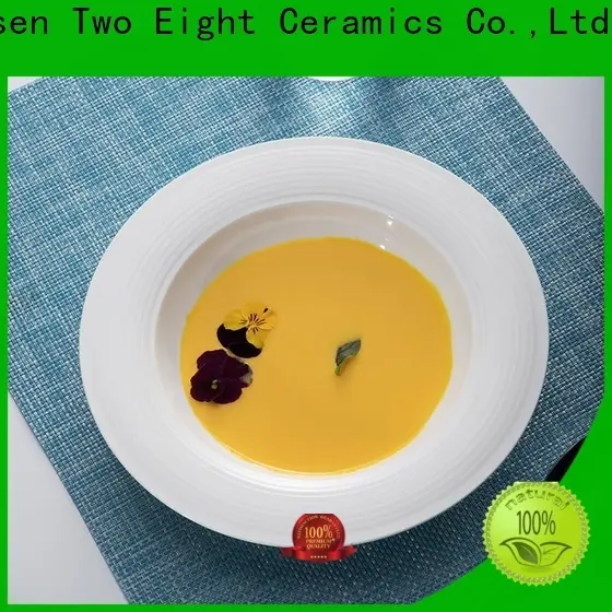 Two Eight porcelain plates manufacturers for dinner 1